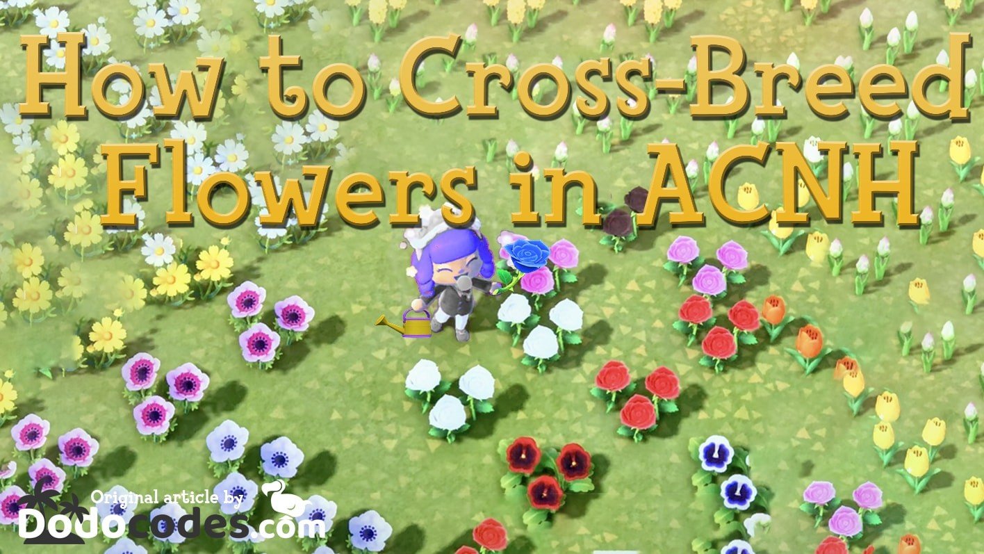 Dodocodes Com Guides How To Cross Breed Acnh Flowers